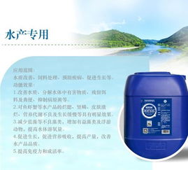 水产养殖微生物制剂与生物修复制剂 特性、作用及科学使用指南