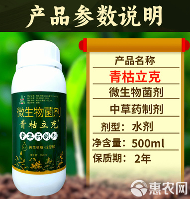 绿色防线 奥丰青枯立克如何重塑土壤健康与作物根系防御